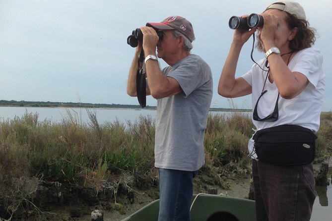 Birdwatching by Boat in a Small Group in the Pialassa Baiona - Ratings and Reviews