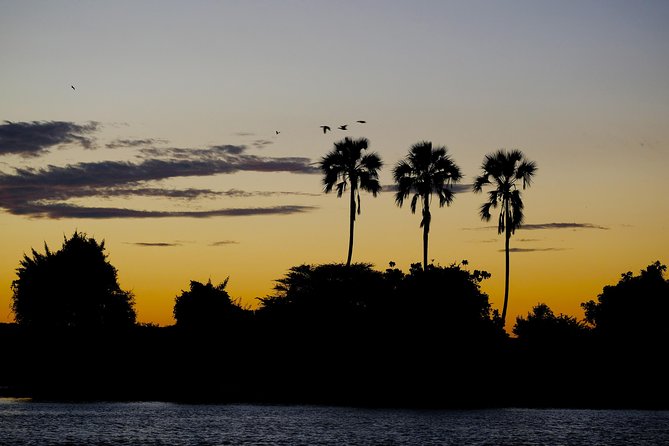 Birdwatching Cruise in Zambezi River With Breakfast - Duration and Transfers