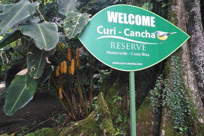 Birdwatching Curi Cancha Reserve With Transport (Entrance Fees NOT Included) - Tour Overview