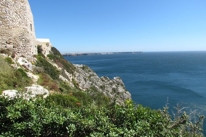 Birdwatching Day Around Sagres - Meeting and Pickup Details