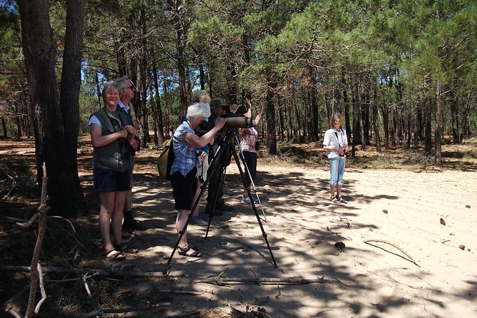 Birdwatching Day Around Sagres - Transportation and Equipment
