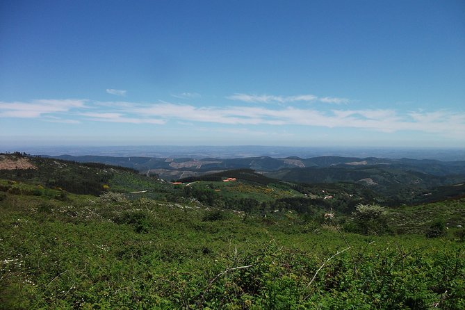 Birdwatching Day in the Monchique Hills - What to Expect