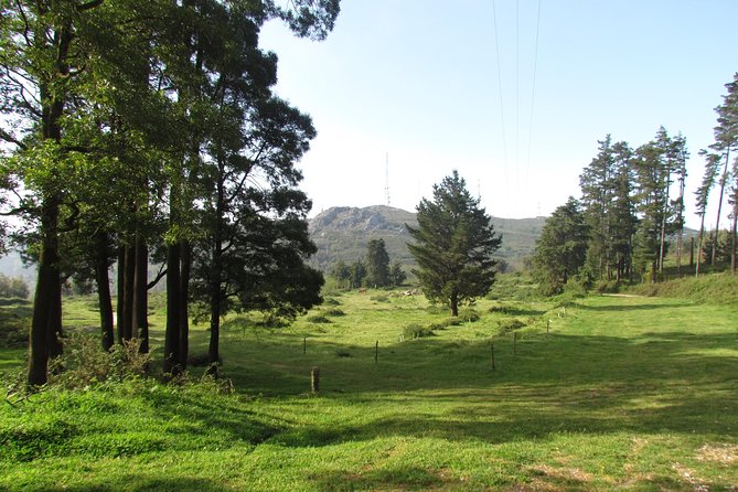 Birdwatching Day in the Monchique Hills - Highlights of the Experience