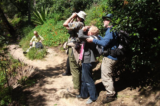 Birdwatching Day in the Monchique Hills - Since You Asked