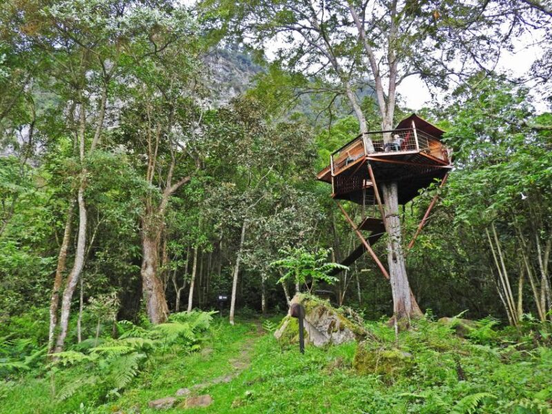 Birdwatching Day Tour at Chicaque Natural Park - Itinerary Highlights