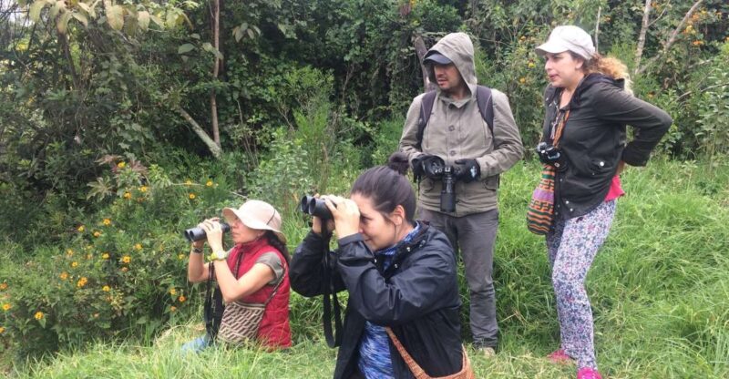 Birdwatching Day Tour at Chicaque Natural Park - Biodiversity and Ecosystems