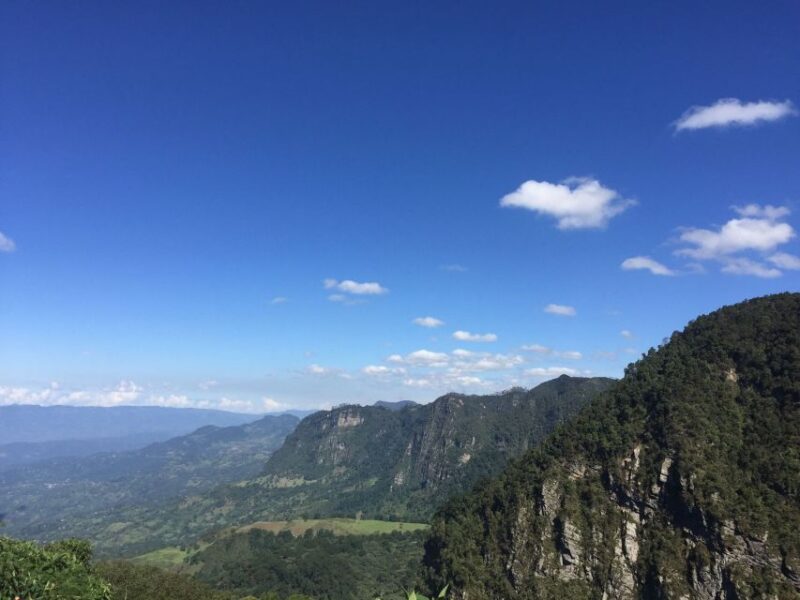 Birdwatching Day Tour at Chicaque Natural Park - Inclusions and Benefits