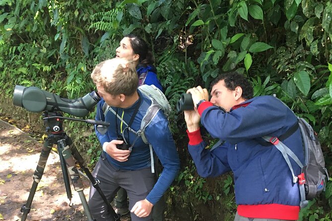 Birdwatching Half-Day Tour Between Clouds and Forest in Monteverde - Birding Highlights in Monteverde