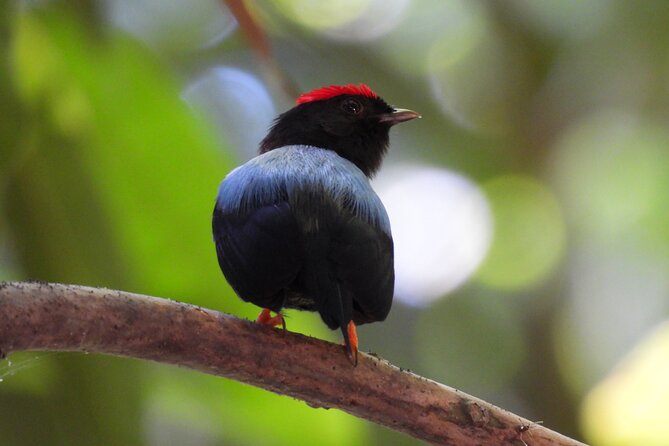 Birdwatching in a Private Nature Reserve - Key Points