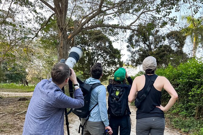 Birdwatching in a Private Nature Reserve - Exploring the Tropical Dry Forest