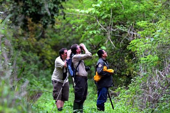 Birdwatching in Cerro Blanco From Guayaquil - Key Points