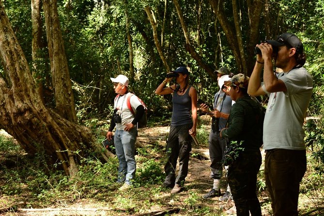 Birdwatching in Coba From Tulum - Exploring Punta Laguna