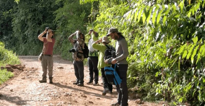 Birdwatching in Guatapé With Around 400 Bird Species - Detailed Itinerary