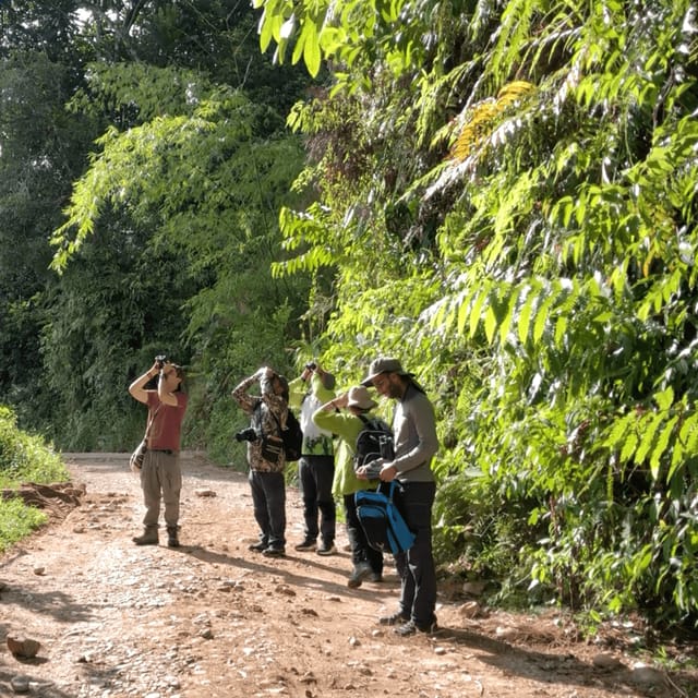 Birdwatching in Guatapé With Around 400 Bird Species - Frequently Asked Questions