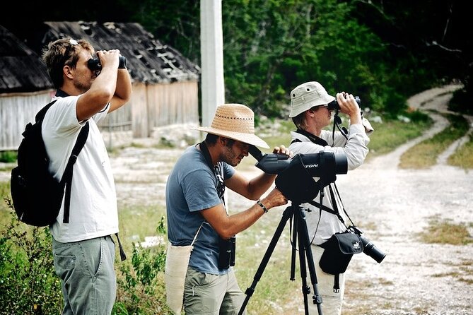 Birdwatching in Sian Ka´An and Muyil Archaeological Site From Tulum - Muyil Archaeological Site Discovery
