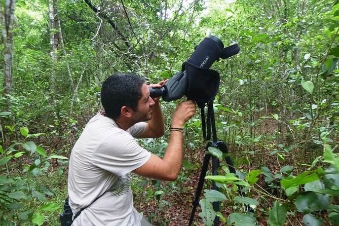 Birdwatching in Sian Ka´An and Muyil Archaeological Site From Tulum - Tour Inclusions and Pricing