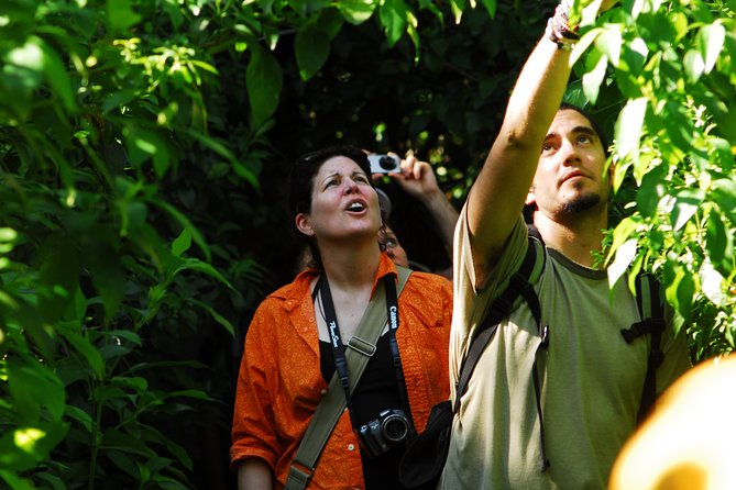Birdwatching in Sian Ka´An and Muyil Archaeological Site From Tulum - Meeting and Pickup Information