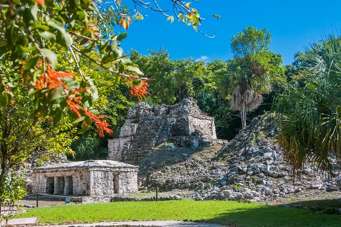 Birdwatching in Sian Ka´An and Muyil Archaeological Site From Tulum - Guest Reviews and Feedback