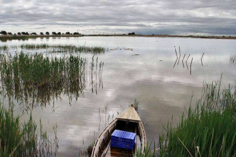 Birdwatching in the Ebro Delta - Booking and Cancellation Policy