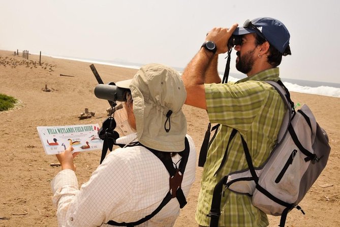 Birdwatching in Villa Wetlands - Lima - Key Points
