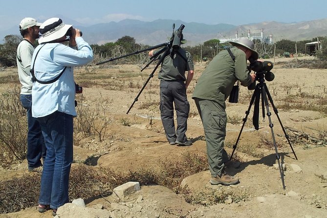 Birdwatching in Villa Wetlands - Lima - Accessibility and Participation