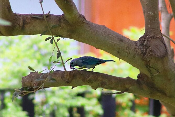 Birdwatching & Landscaping Tour in Lima - Discovering the Local Landscapes