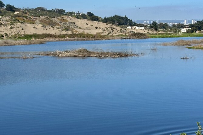BirdWatching Mantagua Wetland&Penguins Cachagua Island From Valpo - Experiencing the Tours Inclusions