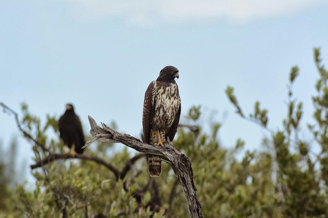 Birdwatching Sian Kaan Biosphere Reserve - Tour Inclusions and Exclusions