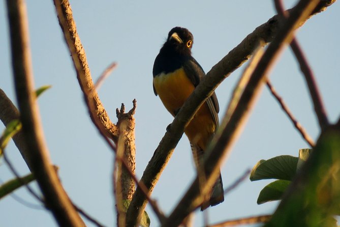 Birdwatching Sian Kaan Biosphere Reserve - Accessibility and Additional Details