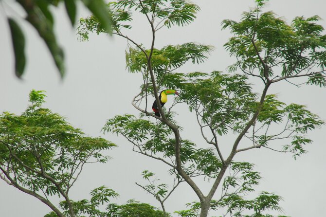 Birdwatching Tour - Inclusions and Amenities