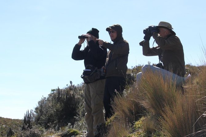 Birdwatching Tour in Cajas National Park From Cuenca - Itinerary Details