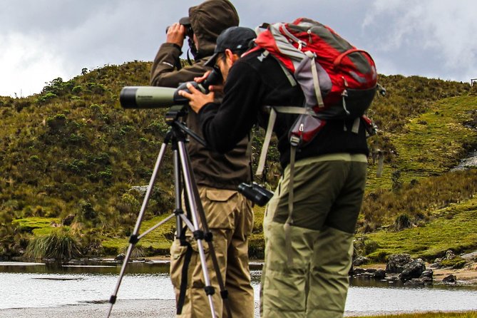 Birdwatching Tour in Cajas National Park From Cuenca - Llaviuco Valley Visit