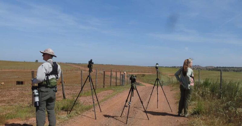 Birdwatching Tour in Mértola and Castro Verde Region - Inclusions