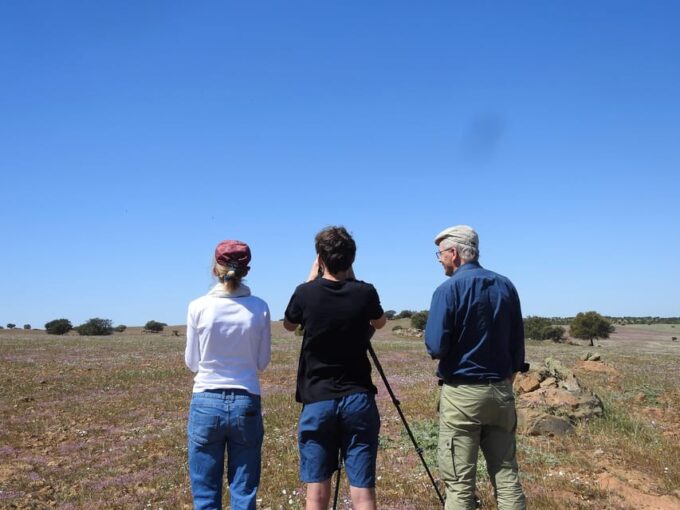 Birdwatching Tour in Mértola and Castro Verde Region - Notable Bird Species