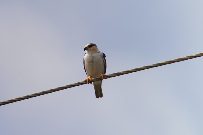Birdwatching Tour in Monteverde - Location and Accessibility