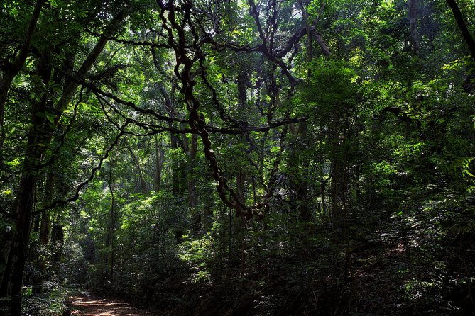Birdwatching Trek in Kandy Review - Inclusions