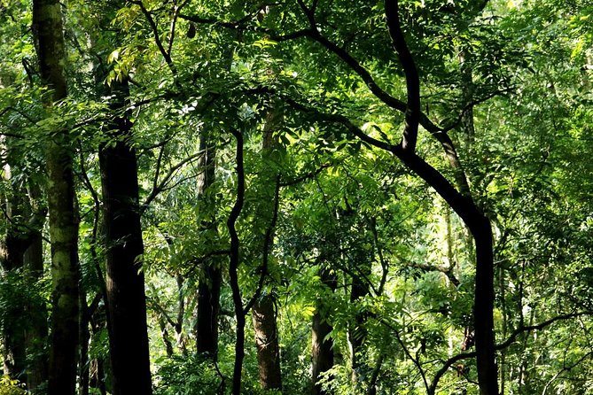 Birdwatching Trek in Kandy Review - Booking Information
