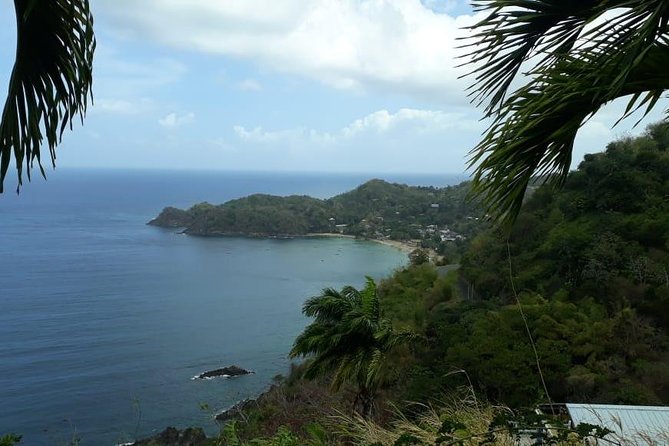 Birdwatching, Waterfall, Rainforest and Island Nature Tours - Pickup and Transportation