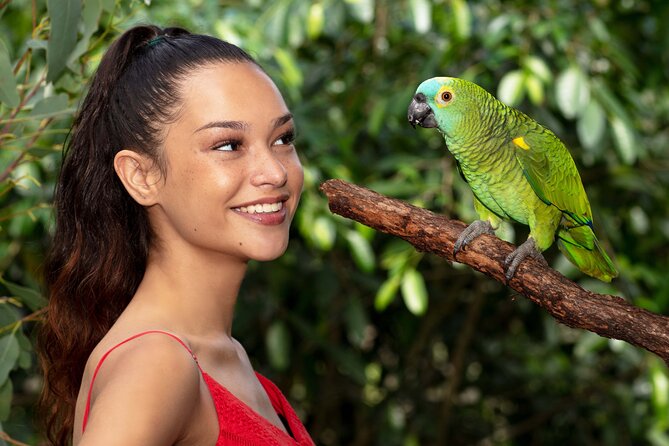 Birdworld Kuranda Entry Ticket - Interaction With Free-Flying Birds