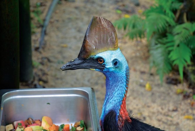 Birdworld Kuranda Entry Ticket - Notable Visitor Experiences
