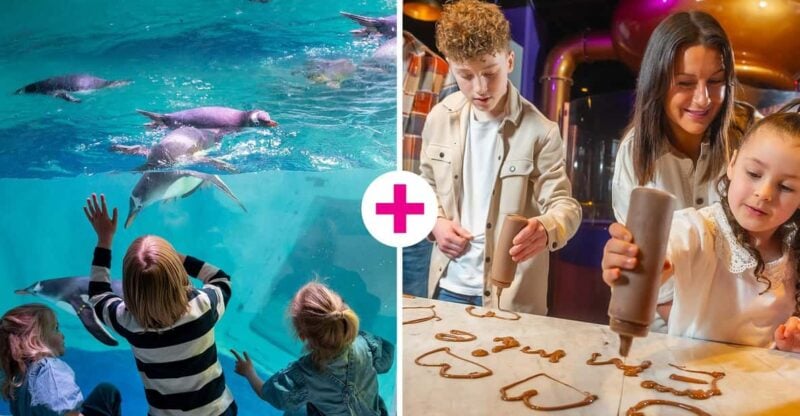 Birmingham: Cadbury World & SEA LIFE Birmingham - Getting to Cadbury World