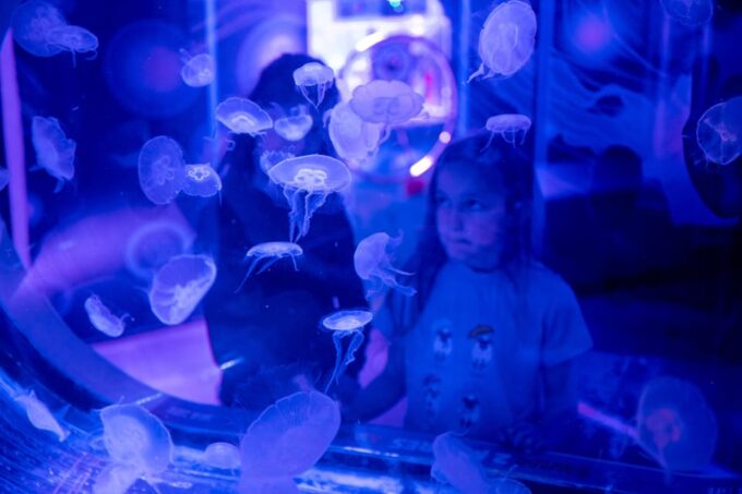 Birmingham: Cadbury World & SEA LIFE Birmingham - Frequently Asked Questions