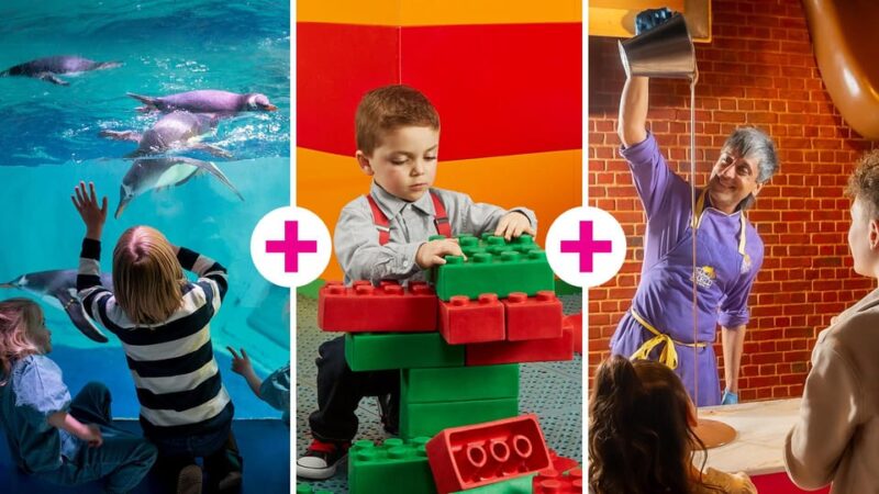 Birmingham: Cadbury World + SEA LIFE + LEGOLAND Discovery - Accessibility and Highlights