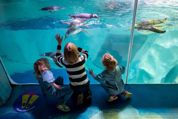 Birmingham: Cadbury World + SEA LIFE + LEGOLAND Discovery - Nearby Accommodations and Dining