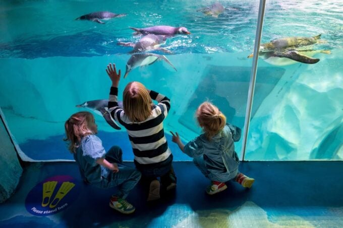 Birmingham: Cadbury World + SEA LIFE + LEGOLAND Discovery - Frequently Asked Questions