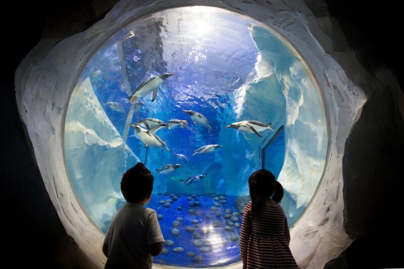 Birmingham: National Sea Life Centre Entrance Ticket - Key Points