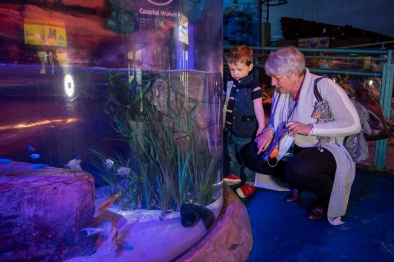 Birmingham: National Sea Life Centre Entrance Ticket - Entrance Ticket Information
