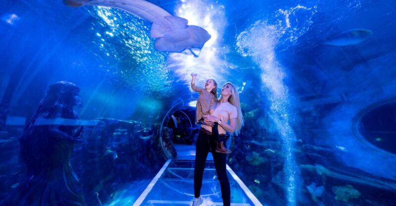 Birmingham: National Sea Life Centre Entrance Ticket - Duration and Validity