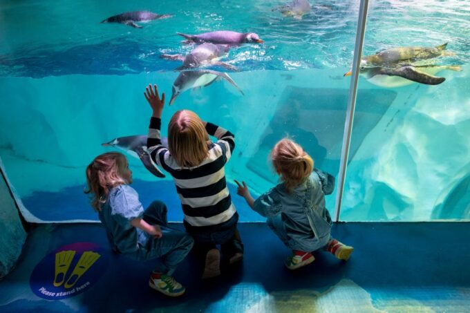 Birmingham: National Sea Life Centre Entrance Ticket - Dining and Refreshment Options