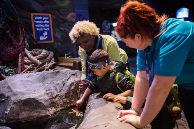 Birmingham: National Sea Life Centre Entrance Ticket - Flexible Cancellation Policy